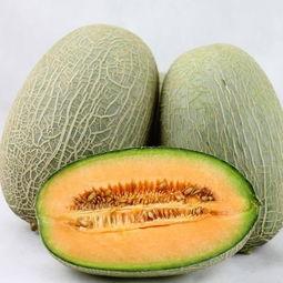 大妹吃哈密瓜视频大全下载,甜蜜瞬间尽收眼底