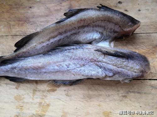 吃八瓜鱼大爆头视频播放,惊险刺激的极限挑战视频