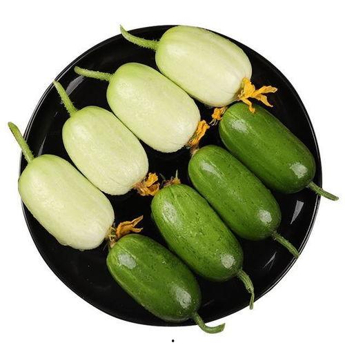 长颈瓜怎么吃最好视频,视频教你轻松烹饪