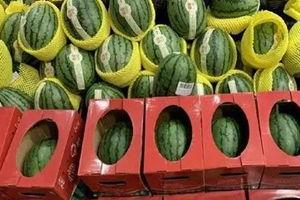 大学生捡西瓜吃瓜视频,大学生捡西瓜视频走红，共享夏日清凉