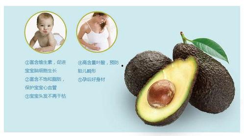 小呆瓜吃牛油果好吗视频,揭秘吃牛油果的乐趣与营养