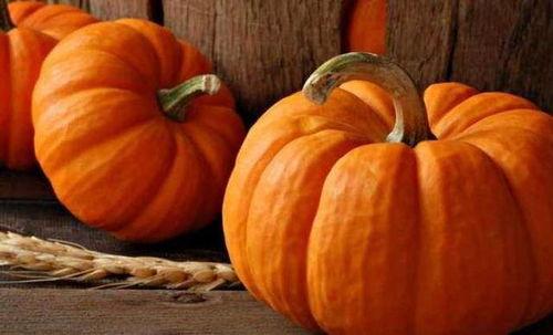 吃瓜糖视频,带你领略网络娱乐新风尚