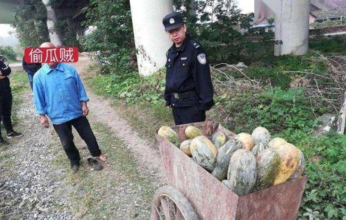 和县网红吃瓜事件真相视频,真相视频曝光背后的故事