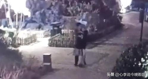 西昌吃瓜视频完整版,揭秘事件背后真相与幕后故事