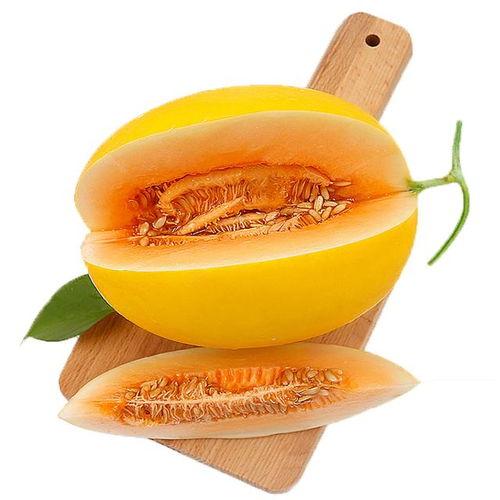 吃蜜瓜视频过瘾,甜蜜滋味，一夏过瘾体验